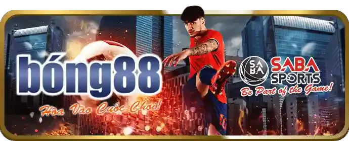 Cá cược thể thao 88xn